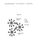 NMR SYSTEMS AND METHODS FOR THE RAPID DETECTION OF ANALYTES diagram and image