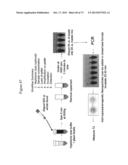 NMR SYSTEMS AND METHODS FOR THE RAPID DETECTION OF ANALYTES diagram and image