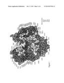 DNA Polymerases Having Improved Labeled Nucleotide Incorporation     Properties diagram and image