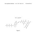 DNA Polymerases Having Improved Labeled Nucleotide Incorporation     Properties diagram and image