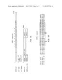 Breast Cancer Susceptibility Gene GT198 and Uses Thereof diagram and image