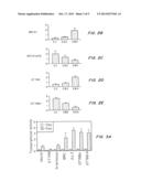 Breast Cancer Susceptibility Gene GT198 and Uses Thereof diagram and image