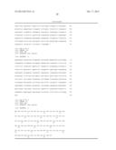 Breast Cancer Susceptibility Gene GT198 and Uses Thereof diagram and image