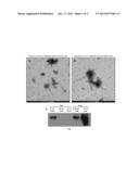 DETECTION OF EXTRACELLULAR JCV MICRORNAS diagram and image