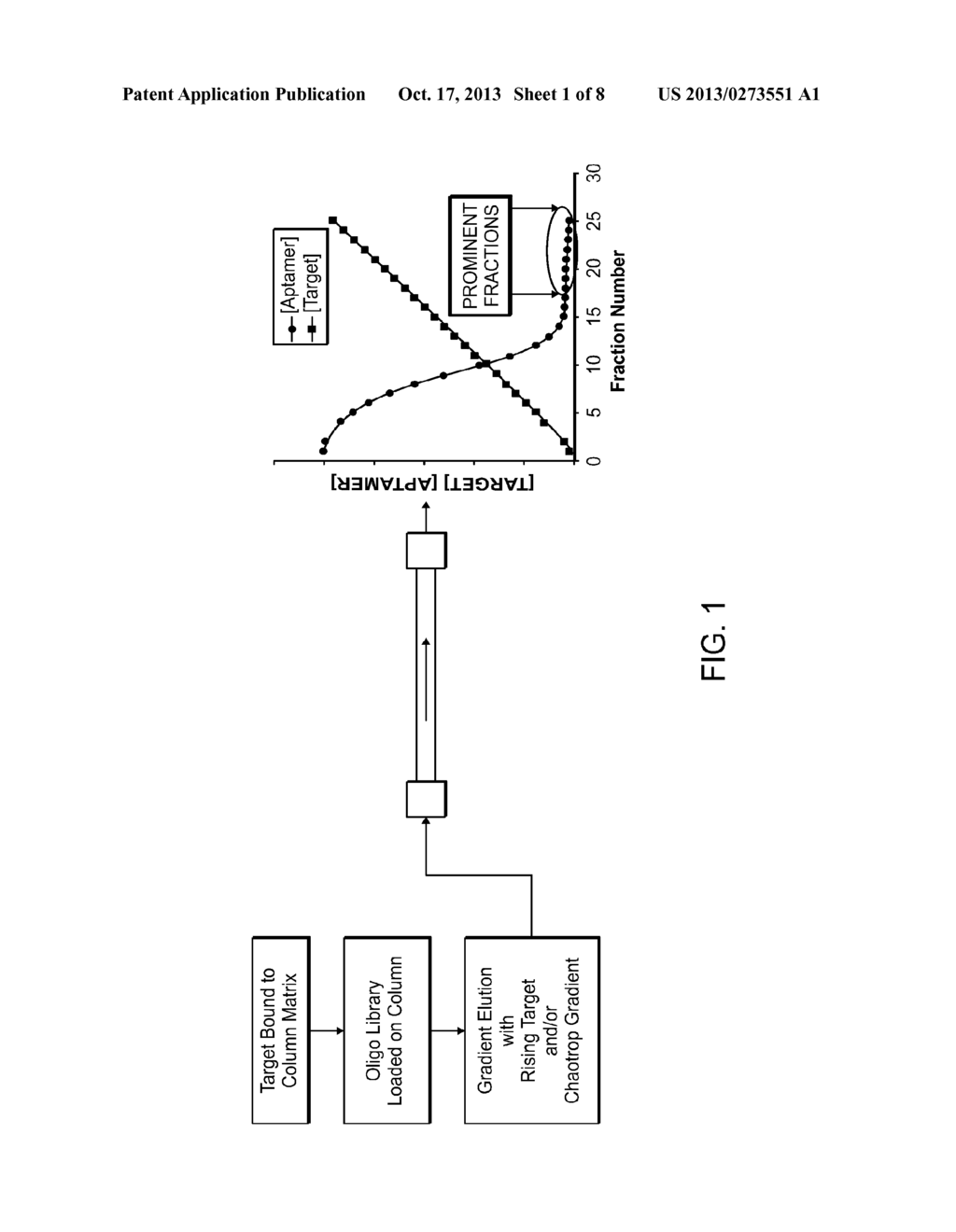 METHODS FOR IDENTIFYING NUCLEIC ACID LIGANDS - diagram, schematic, and image 02