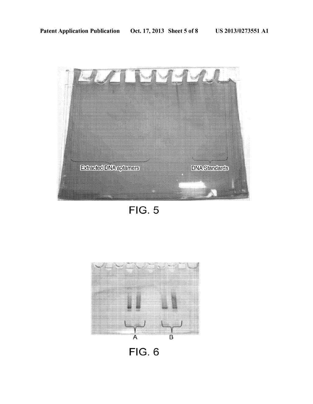 METHODS FOR IDENTIFYING NUCLEIC ACID LIGANDS - diagram, schematic, and image 06