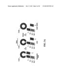 STABILIZATION OF CYCLIC PEPTIDE STRUCTURES diagram and image