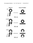 STABILIZATION OF CYCLIC PEPTIDE STRUCTURES diagram and image