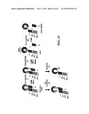 STABILIZATION OF CYCLIC PEPTIDE STRUCTURES diagram and image