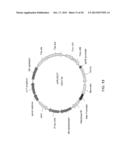 Detoxification of Biomass Derived Acetate Via Metabolic Conversion to     Ethanol, Acetone, Isopropanol, or Ethyl Acetate diagram and image