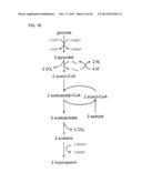 Detoxification of Biomass Derived Acetate Via Metabolic Conversion to     Ethanol, Acetone, Isopropanol, or Ethyl Acetate diagram and image