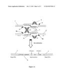 MODULATION OF GENE EXPRESSION BY LOCKED NUCLEIC ACIDS diagram and image