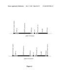 MODULATION OF GENE EXPRESSION BY LOCKED NUCLEIC ACIDS diagram and image