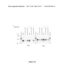 MODULATION OF GENE EXPRESSION BY LOCKED NUCLEIC ACIDS diagram and image