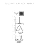 LIPID ENCAPSULATION OF SURFACE ENHANCED RAMAN SCATTERING (SERS)     NANOPARTICLES diagram and image