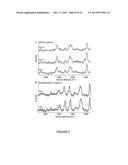 LIPID ENCAPSULATION OF SURFACE ENHANCED RAMAN SCATTERING (SERS)     NANOPARTICLES diagram and image