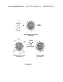 LIPID ENCAPSULATION OF SURFACE ENHANCED RAMAN SCATTERING (SERS)     NANOPARTICLES diagram and image