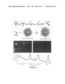 LIPID ENCAPSULATION OF SURFACE ENHANCED RAMAN SCATTERING (SERS)     NANOPARTICLES diagram and image