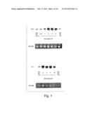 1L1RL-1 as a Cardiovascular Disease Marker and Therapeutic Target diagram and image