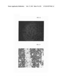 POLYMERIC CARRIERS FOR IMMUNOHISTOCHEMISTRY AND IN SITU HYBRIDIZATION diagram and image