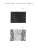 POLYMERIC CARRIERS FOR IMMUNOHISTOCHEMISTRY AND IN SITU HYBRIDIZATION diagram and image