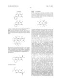 POLYMERIC CARRIERS FOR IMMUNOHISTOCHEMISTRY AND IN SITU HYBRIDIZATION diagram and image