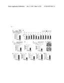 Screening Method for Candidate Agonist Compounds for Adiponectin Receptor     I diagram and image