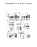 Screening Method for Candidate Agonist Compounds for Adiponectin Receptor     I diagram and image