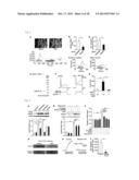 Screening Method for Candidate Agonist Compounds for Adiponectin Receptor     I diagram and image