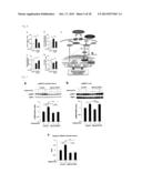 Screening Method for Candidate Agonist Compounds for Adiponectin Receptor     I diagram and image