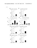 Screening Method for Candidate Agonist Compounds for Adiponectin Receptor     I diagram and image