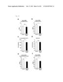 Screening Method for Candidate Agonist Compounds for Adiponectin Receptor     I diagram and image