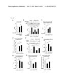 Screening Method for Candidate Agonist Compounds for Adiponectin Receptor     I diagram and image