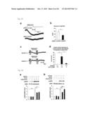 Screening Method for Candidate Agonist Compounds for Adiponectin Receptor     I diagram and image