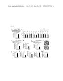 Screening Method for Candidate Agonist Compounds for Adiponectin Receptor     I diagram and image