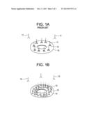 METHOD OF FUNCTIONALIZING HUMAN RED BLOOD CELLS WITH ANTIBODY diagram and image