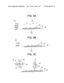 METHOD OF FUNCTIONALIZING HUMAN RED BLOOD CELLS WITH ANTIBODY diagram and image
