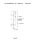 Methods for Diagnosing Lyme Disease diagram and image