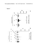 AMYLOID BETA AGGREGATES IN CEREBRO SPINAL FLUID AS BIOMARKERS FOR     ALZHEIMER S DISEASE diagram and image