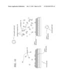 REAGENTS FOR REDUCING LEUKOCYTE INTERFERENCE IN IMMUNOASSAYS diagram and image