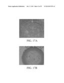 REAGENTS FOR REDUCING LEUKOCYTE INTERFERENCE IN IMMUNOASSAYS diagram and image