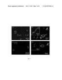 Method of Manufacturing Nanoparticle Chain diagram and image