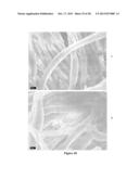 METAL ORGANIC FRAMEWORK MODIFIED MATERIALS, METHODS OF MAKING AND METHODS     OF USING SAME diagram and image