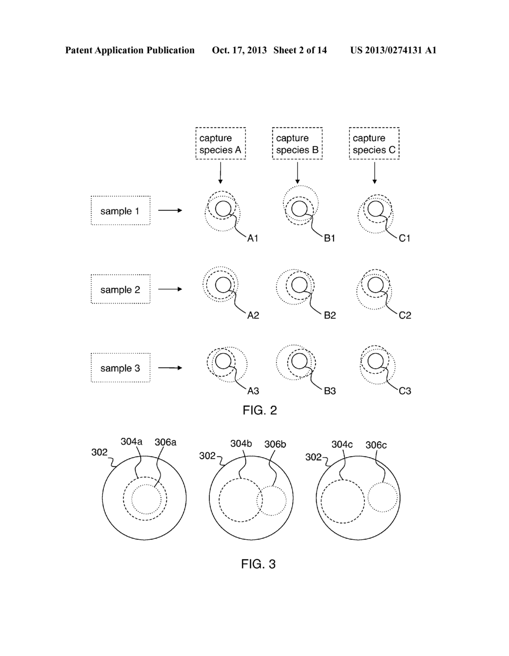 Advanced Reverse-phase Magnetic Immunoassay - diagram, schematic, and image 03