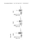 GENE SIGNATURES FOR PREDICTION OF THERAPY-RELATED MYELODYSPLASIA AND     METHODS FOR IDENTIFICATION OF PATIENTS AT RISK FOR DEVELOPMENT OF THE     SAME diagram and image