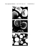 MICROPARTICLES CONTAINING PHYSIOLOGICALLY ACTIVE PEPTIDE, METHOD FOR     PREPARING THE SAME, AND PHARMACEUTICAL COMPOSITION COMPRISING THE SAME diagram and image