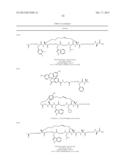 PEPTIDOMIMETIC MACROCYCLES diagram and image