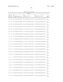 COMPOSITIONS AND METHODS FOR INHIBITING EXPRESSION OF Eg5 GENE diagram and image