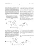 COMPOSITIONS AND METHODS FOR INHIBITING EXPRESSION OF Eg5 GENE diagram and image