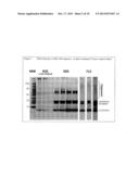 STABILIZED AMYLOID-BETA OLIGOMERS AND USES THEREOF diagram and image